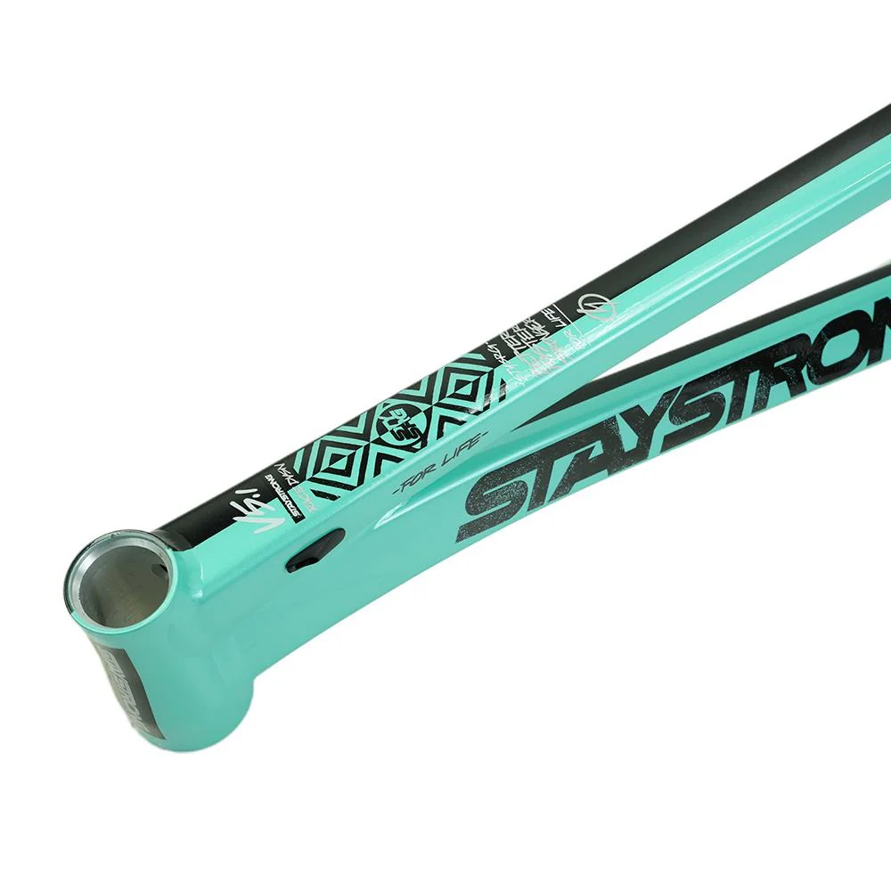 Stay Strong For Life V5.1 Pro XL Frame - Image 16
