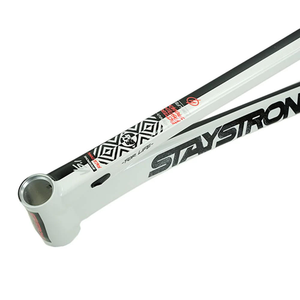 Stay Strong For Life V5.1 Pro XL Frame - Image 24