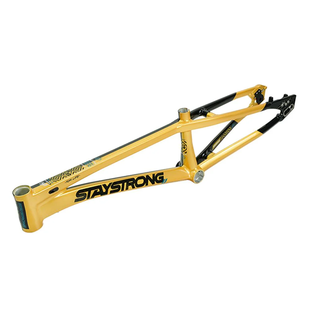 Stay Strong For Life V5.1 Pro XL Frame - Image 31
