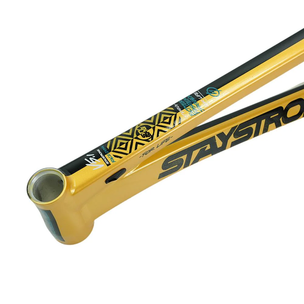 Stay Strong For Life V5.1 Pro XL Frame - Image 34