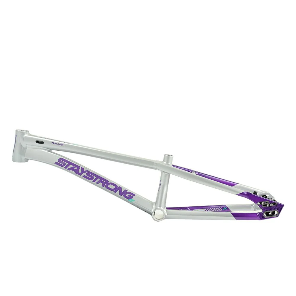 Stay Strong For Life V5.1 Pro XL Frame - Image 36
