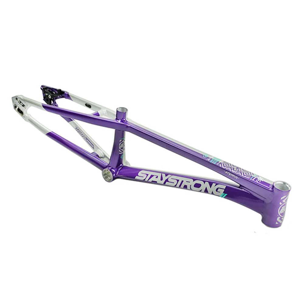 Stay Strong For Life V5.1 Pro XL Frame - Image 39