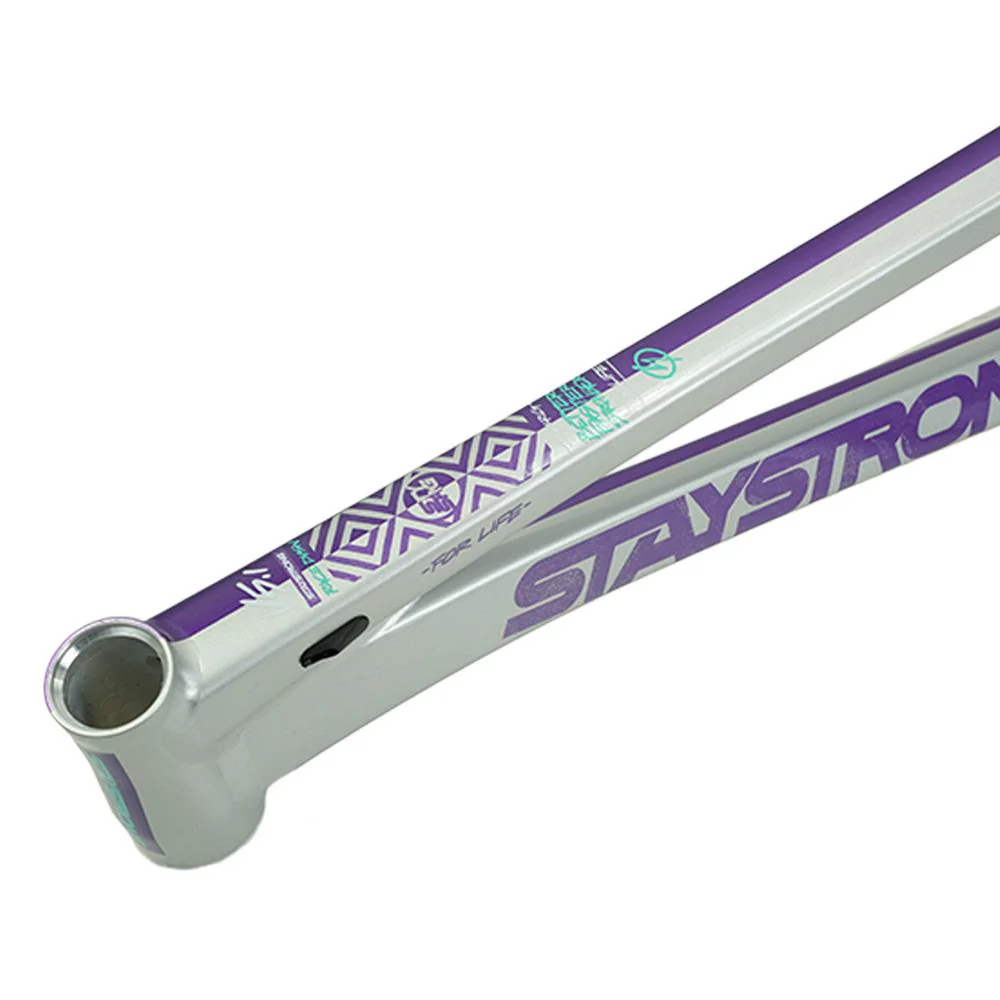 Stay Strong For Life V5.1 Pro XL Frame - Image 43