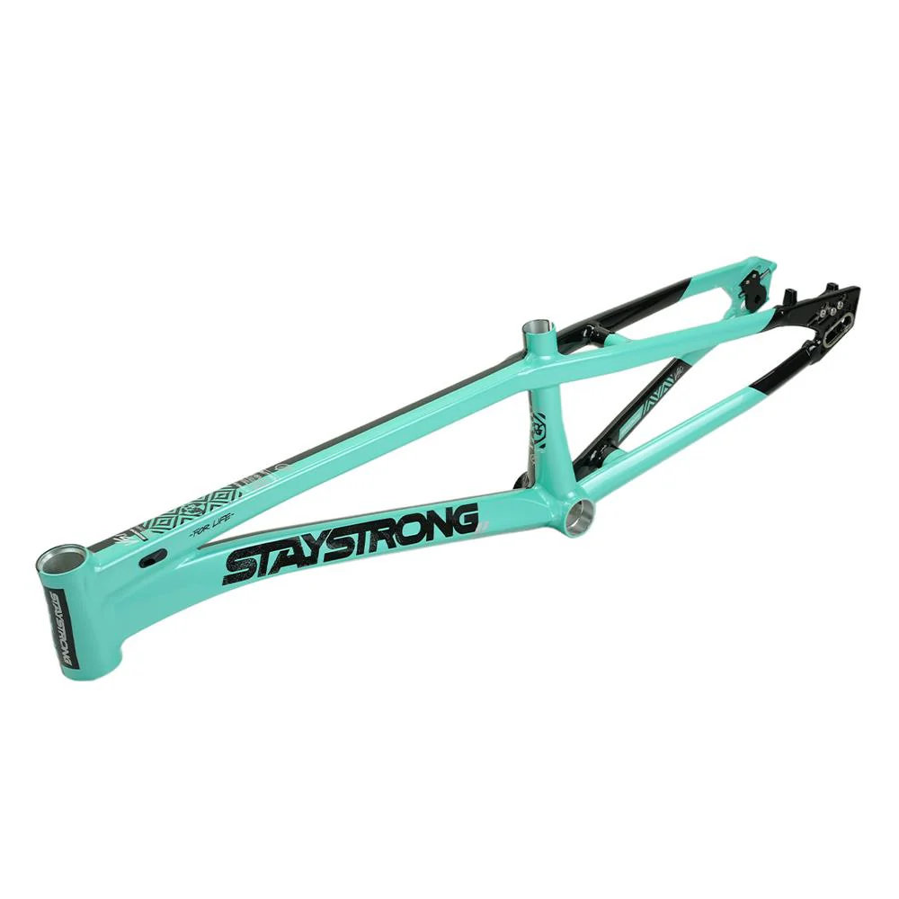 Stay Strong For Life V5.1 Pro XXXXL Frame - Image 15