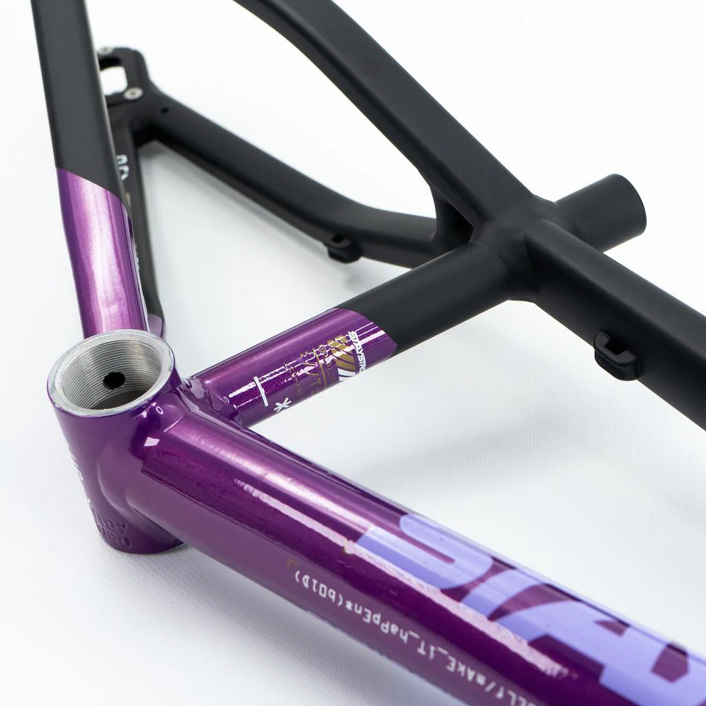 Stay Strong For Life V5 Expert XL Frame 2025 - Image 6